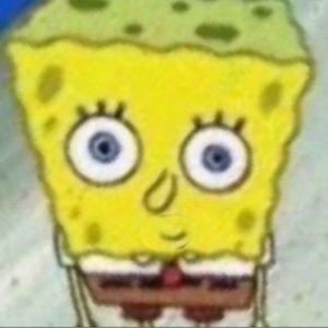 Meet your Posher, Mark palomino